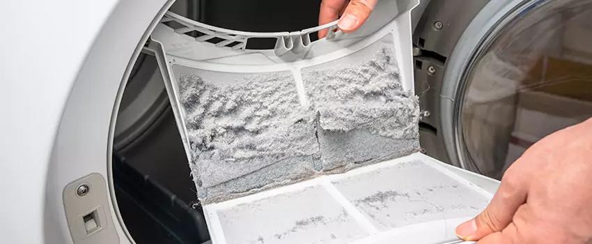 Best Dryer Lint Removal Company in South St. Paul, Minnesota